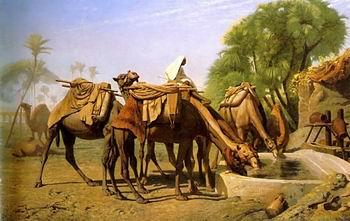 unknow artist Arab or Arabic people and life. Orientalism oil paintings  468 Sweden oil painting art